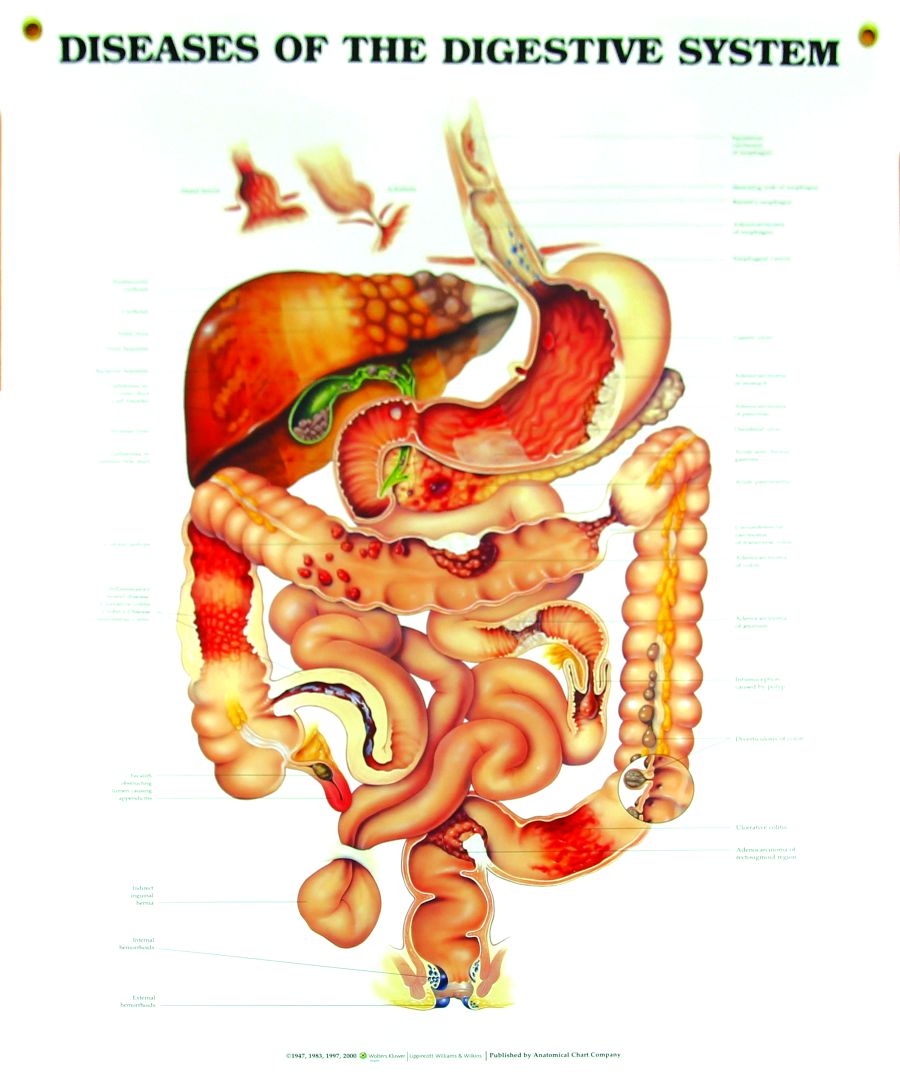 Medical Charts - Prime Pacific Health