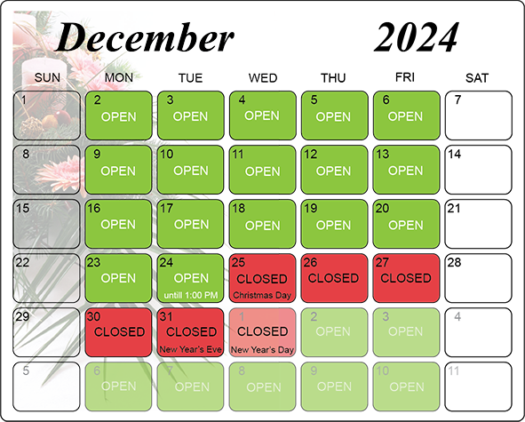 Dec2024_591x475