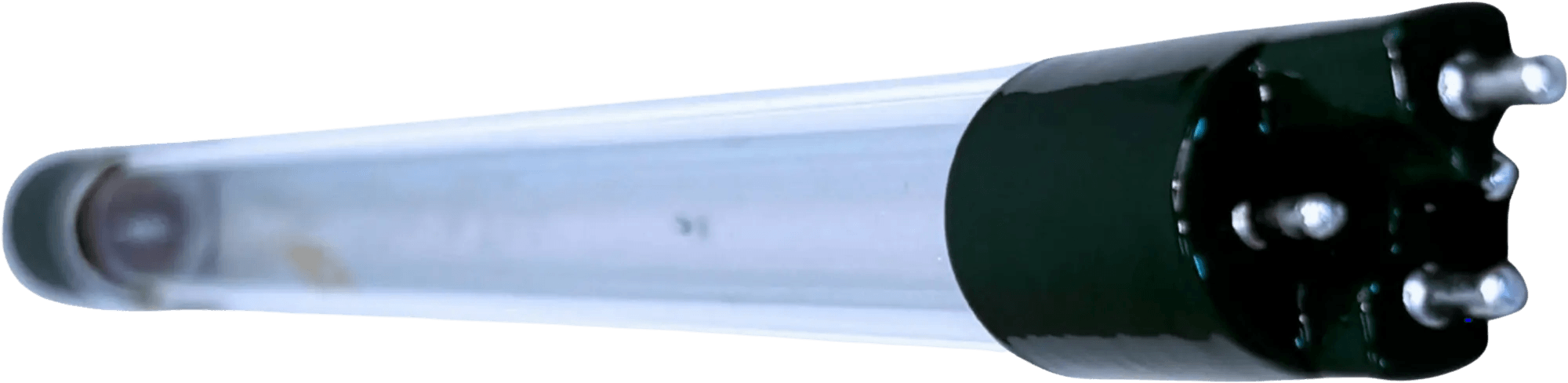 Black light fluorescent tube with a clear glass casing and four contact pins on one end, illuminated from the inside.