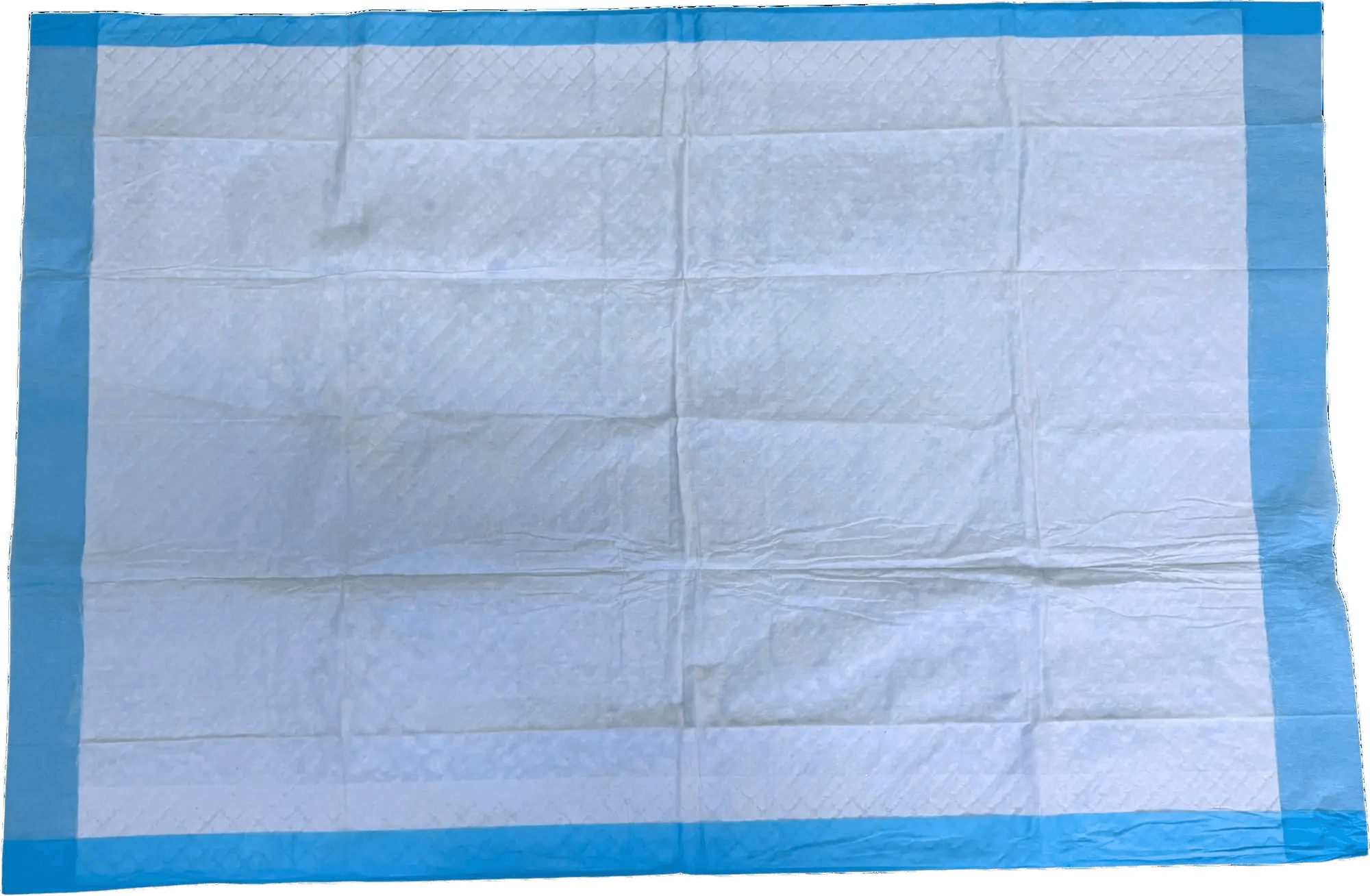 Absorbent underpad